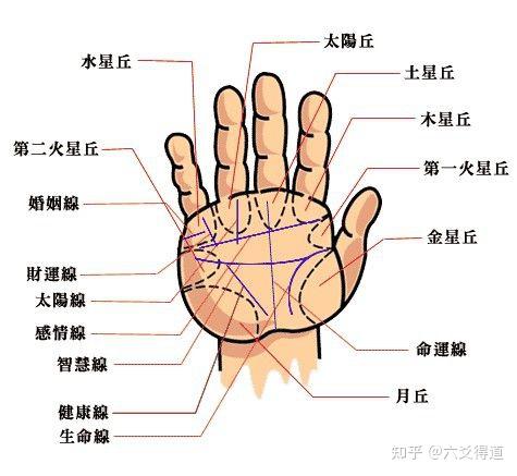 从手面相看人的财富与官运 - 知乎