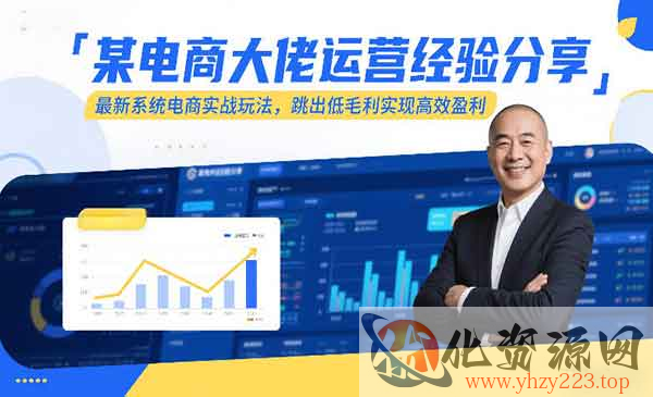 电商高效盈利实战_wwz