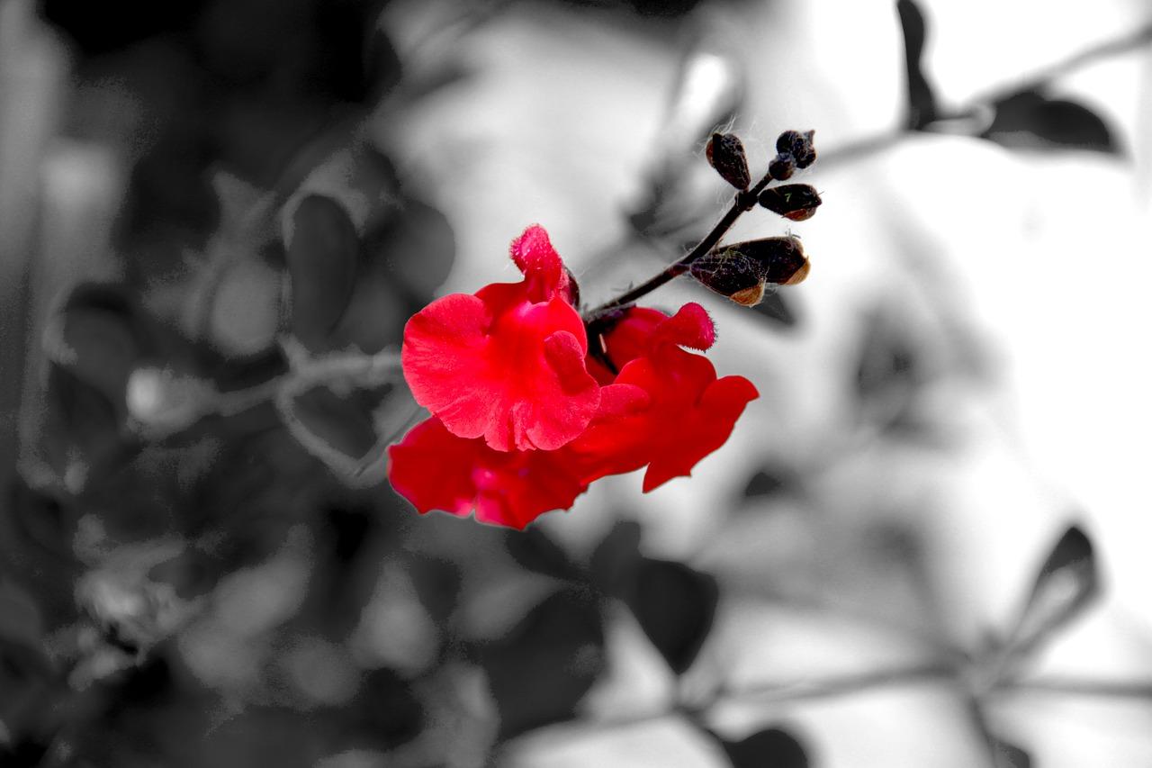 弹涂套什么定额