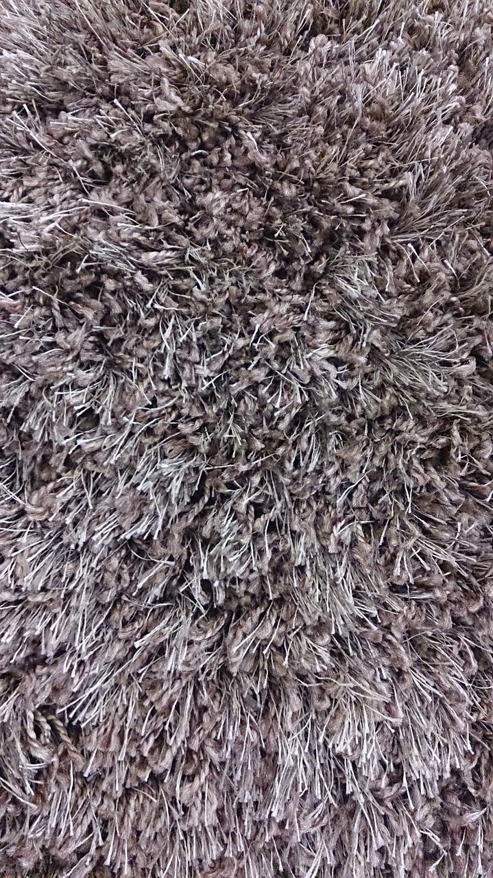 棕床垫长虫长的是什么