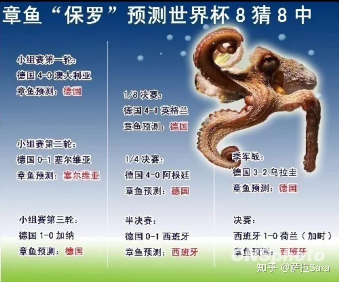 章鱼保罗- 知乎