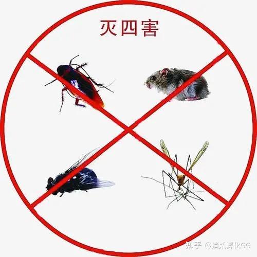四害消杀？四害如何消杀？蟑螂消杀？消杀是什么意思？ - 知乎