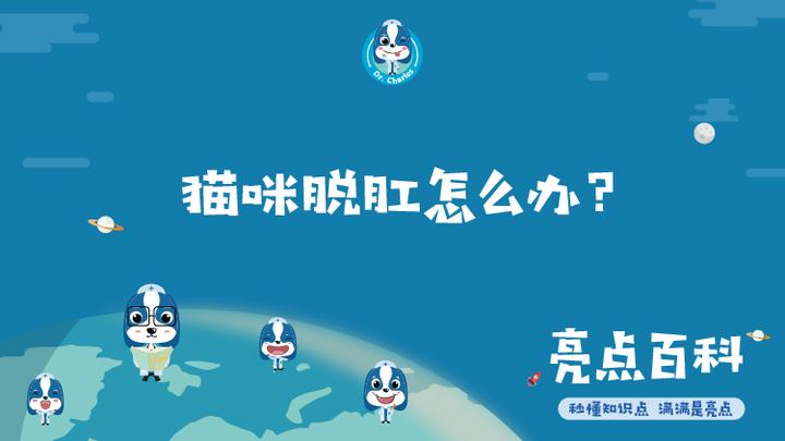 猫咪屁股上的肉肉外翻,要用力塞回去么,怎么治呀?