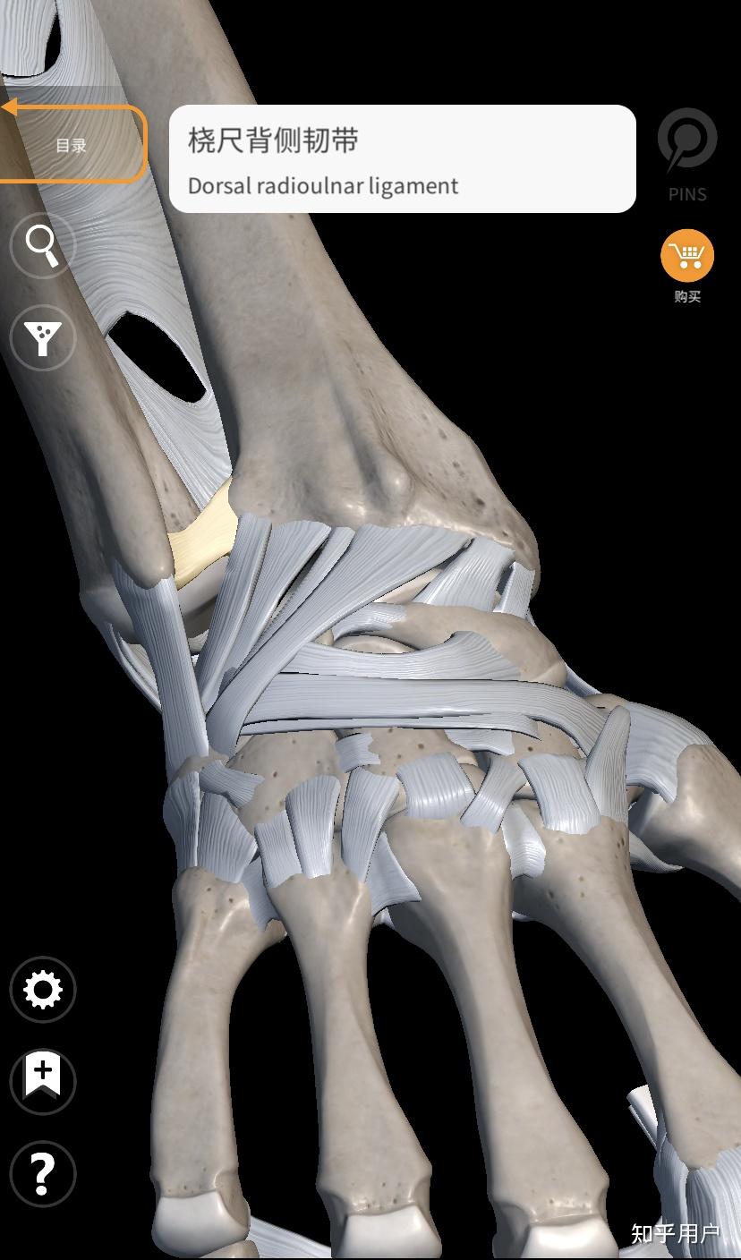 三角纤维软骨tfcc损伤该如何治疗和康复呢