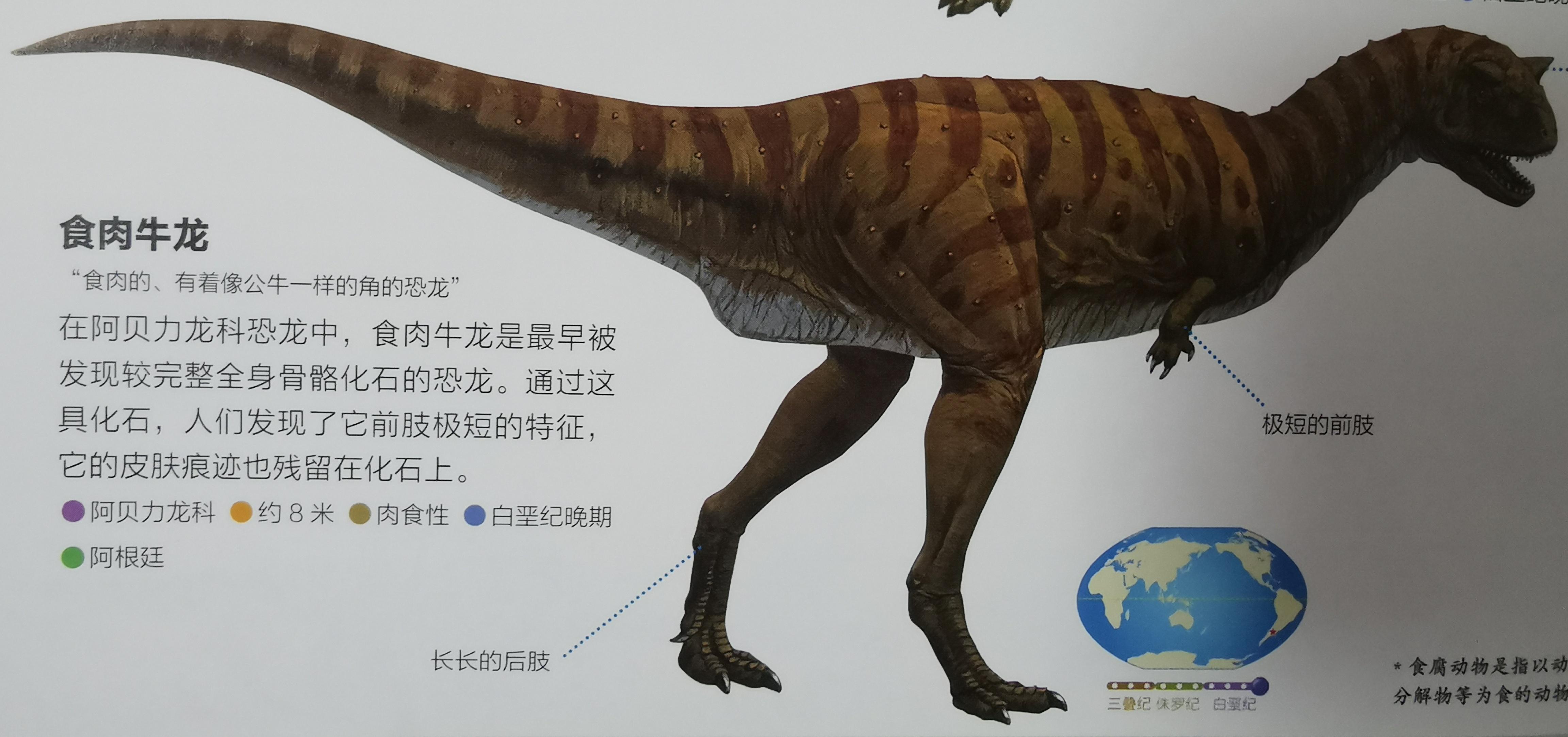 玛君龙——以地名命名的,"在马哈赞加(马达加斯加地名,旧称玛君)发现