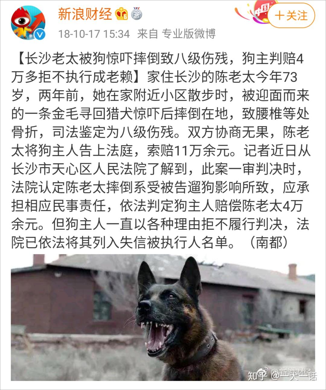 转发这篇!让怕狗人知道遇到陌生狗该怎么办 - 知乎