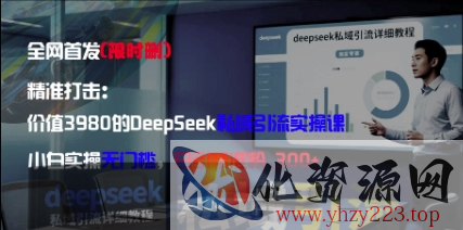 精准打击：价值3980的DeepSeek私域引流实操课，小白实操无门槛，日引精准粉300+