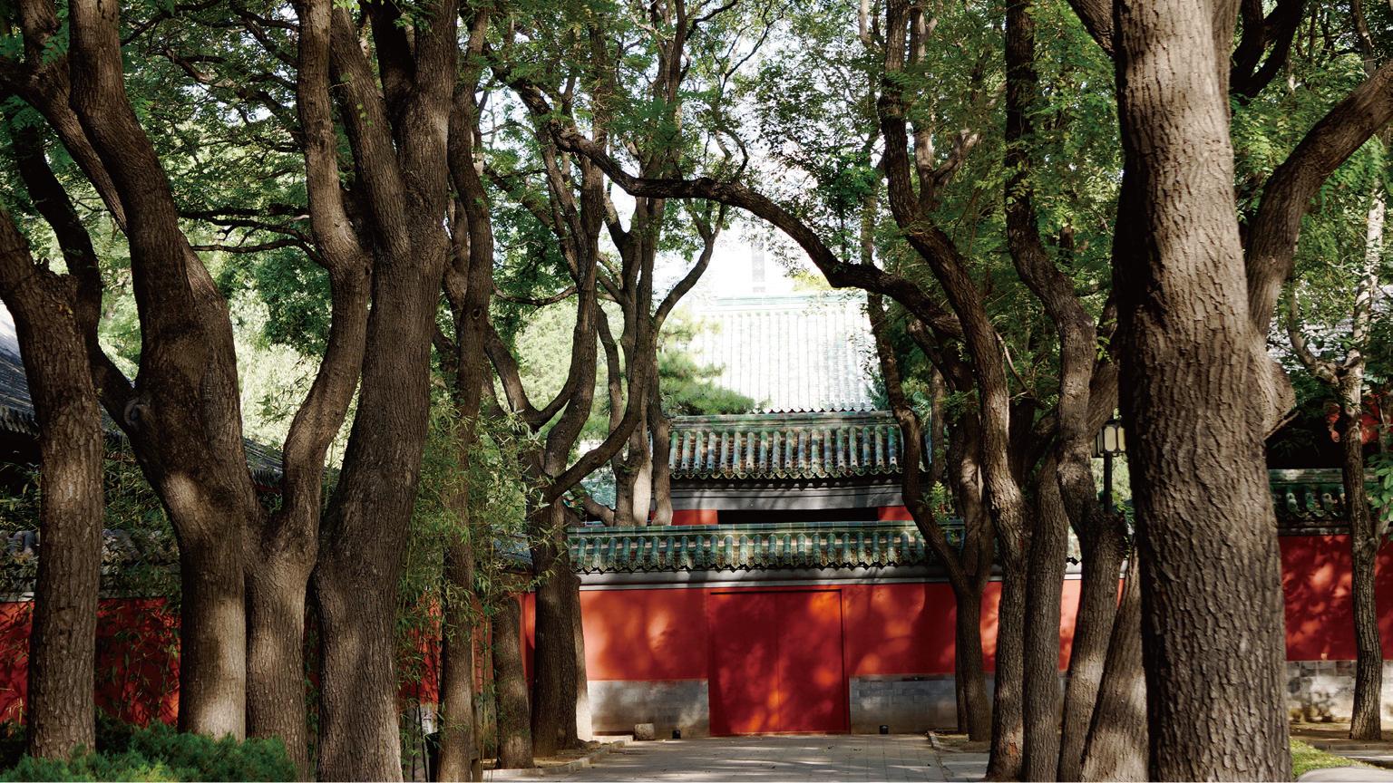 怎样更好地去了解一座城市?