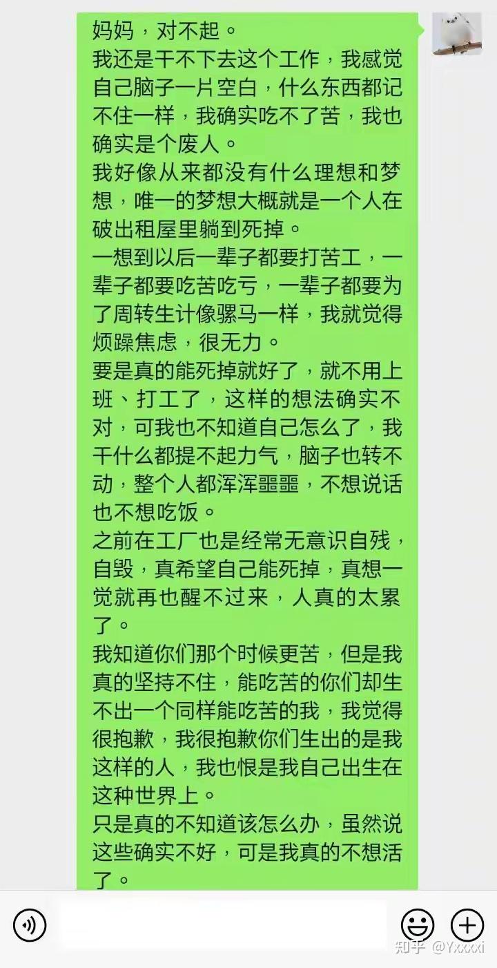 辍学的00后都在做什么?