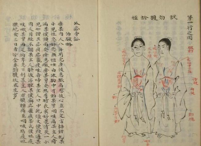 从五脏六腑到三焦--浅谈传统中医对人体器官的认识 - 知乎