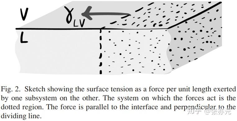 如何理解液体表面张力？ - 知乎