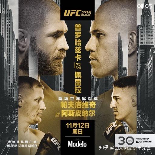 11月12日ufc295吉里普罗查兹卡vs亚历克斯佩雷拉你对此次比赛有哪些