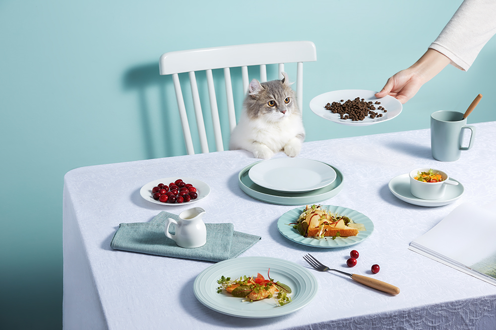 猫的饮食偏好 - 知乎