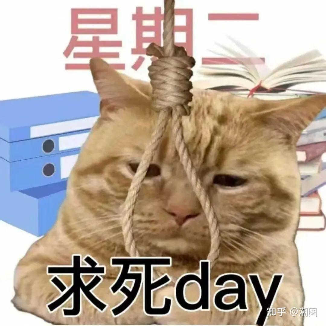 打工人有哪些必备表情包