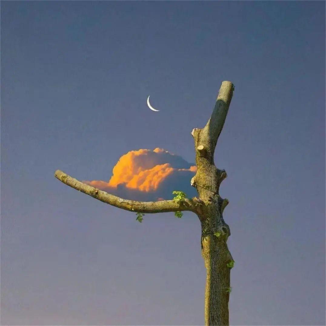 有哪些让人眼前一亮的微信封面?