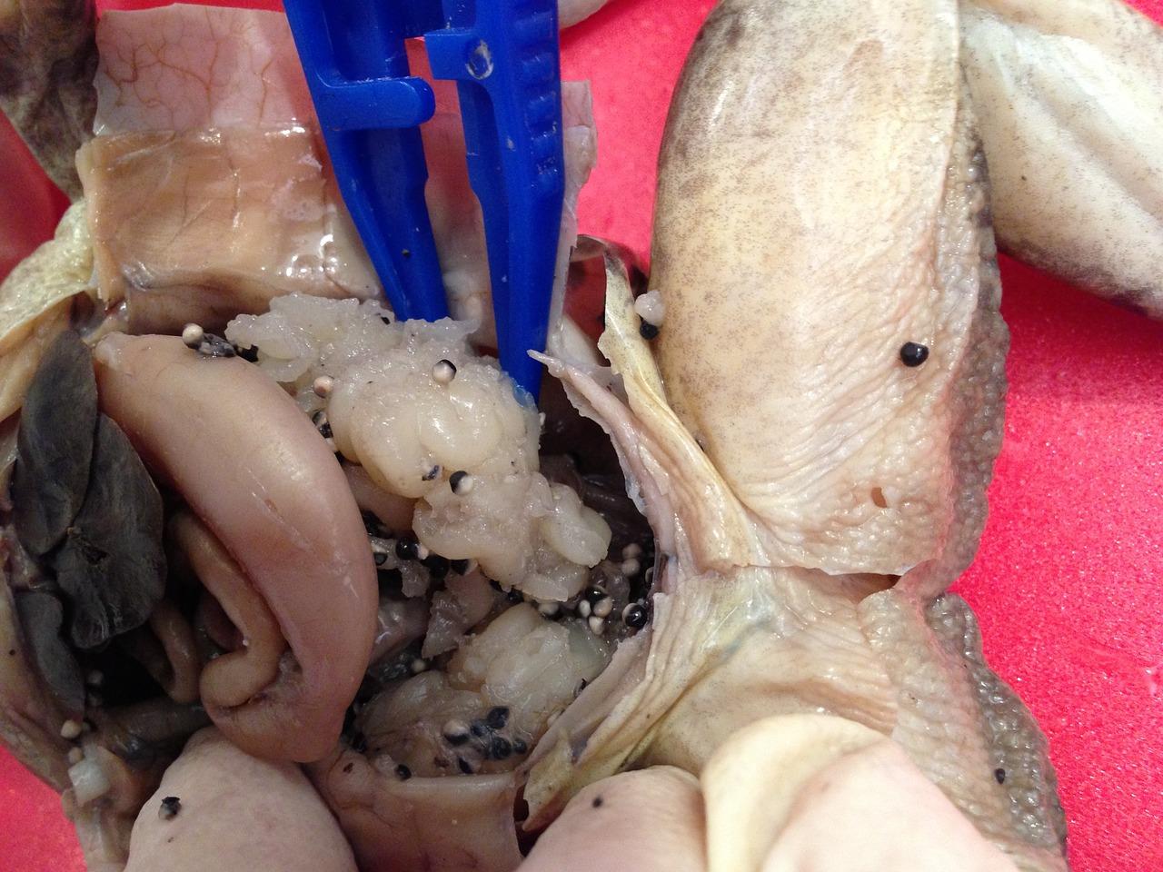 夹层用来做什么