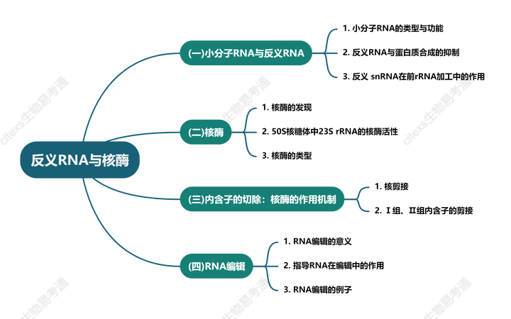 细胞生物学高频考点（二十二）之反义RNA与核酶内容及思维导图 - 知乎
