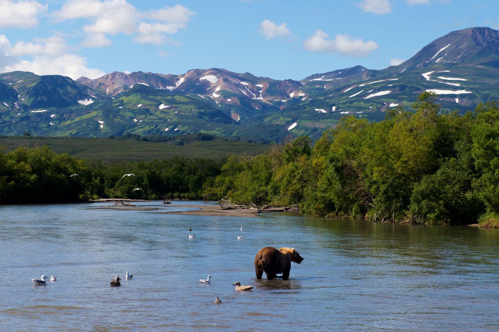俄罗斯西伯利亚的原始森林有多美? - 知乎
