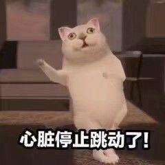 Mur猫表情包合集6 - 知乎