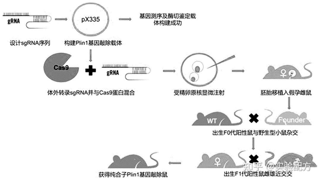 虚拟基因敲除技术 - 知乎