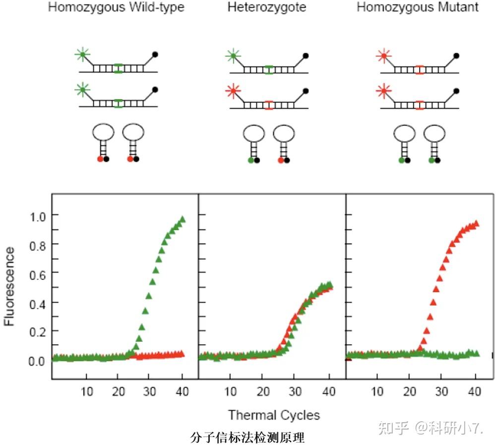 基因组遗传变异研究——SNP检测方法|生信发文利器 - 知乎