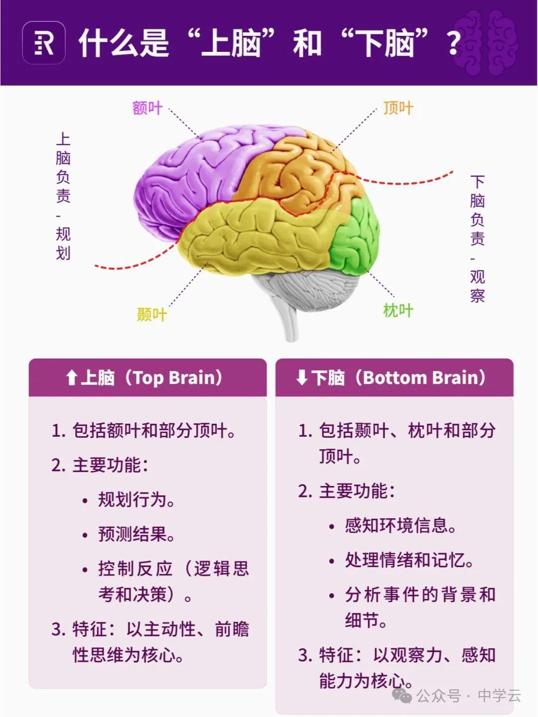 【上脑下脑】上脑规划VS下脑观察 - 知乎
