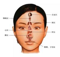 面诊（一看就懂，一学就会） - 知乎
