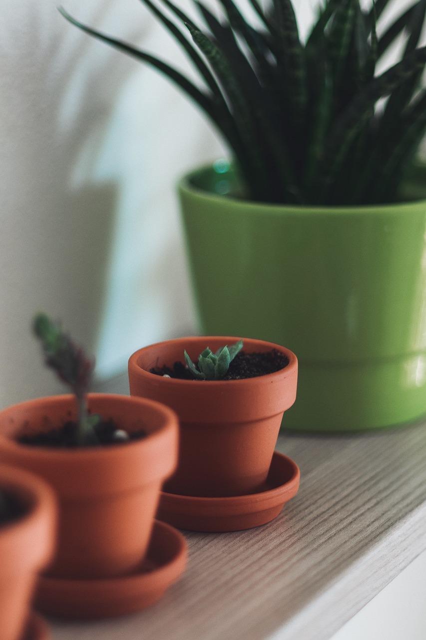 3. 简易养护指南