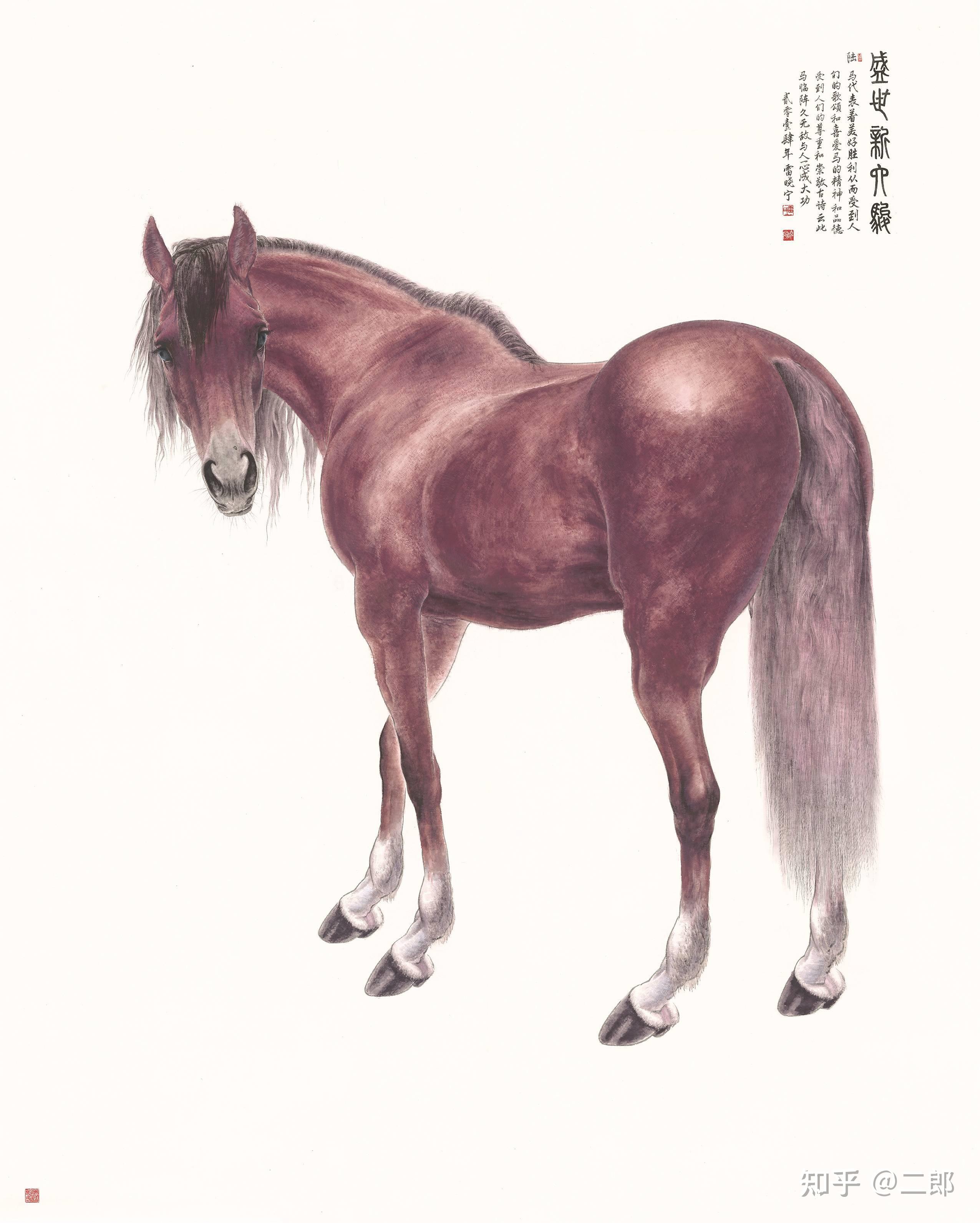 马十二月生肖马运势(属马十二月运气)