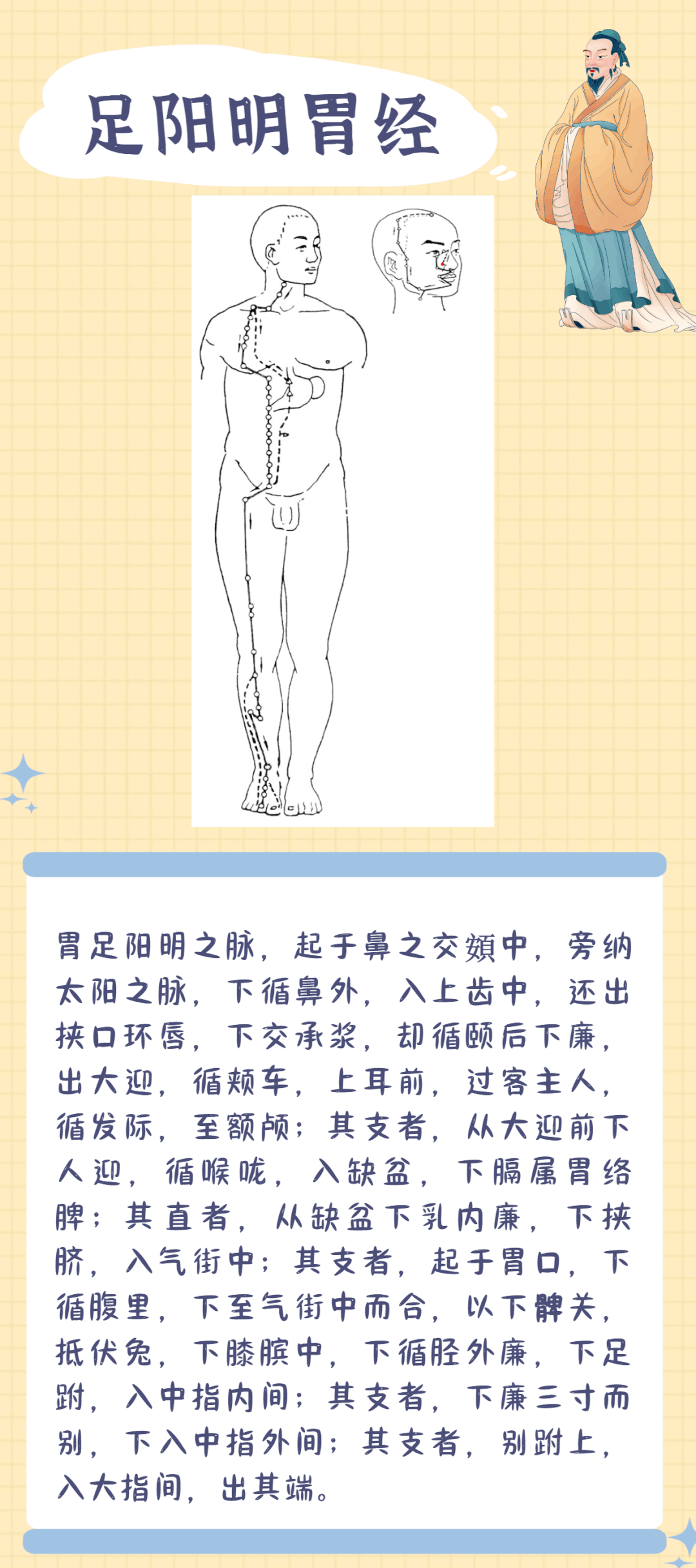 十二经脉循行图解 - 知乎