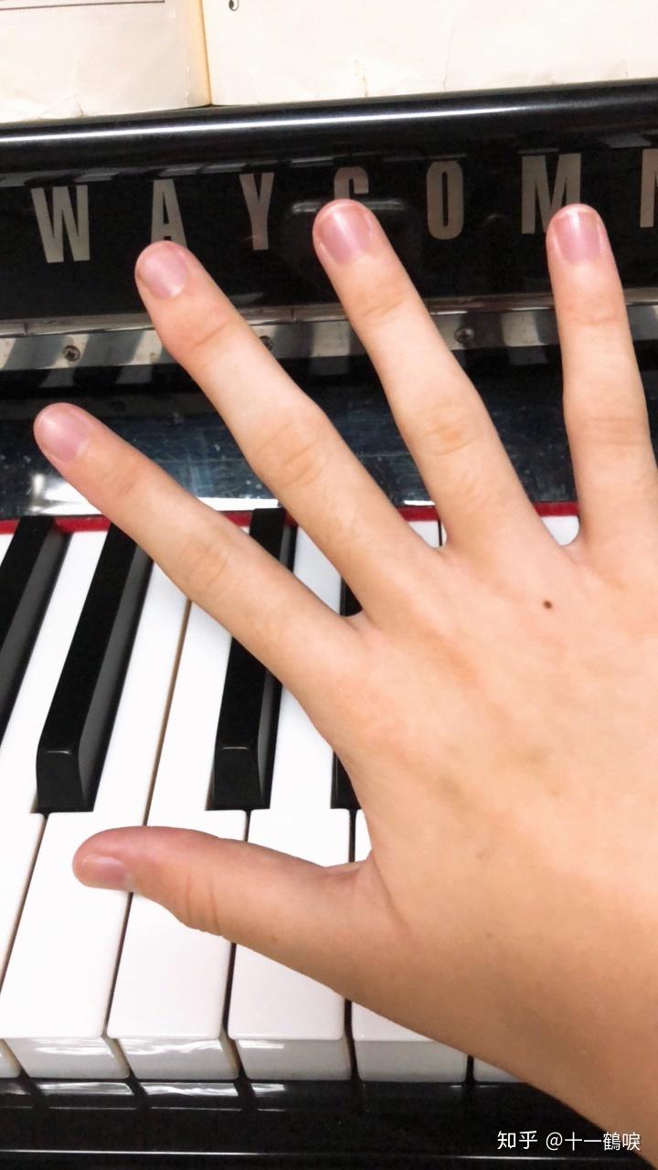 从小弹钢琴的手有多好看?
