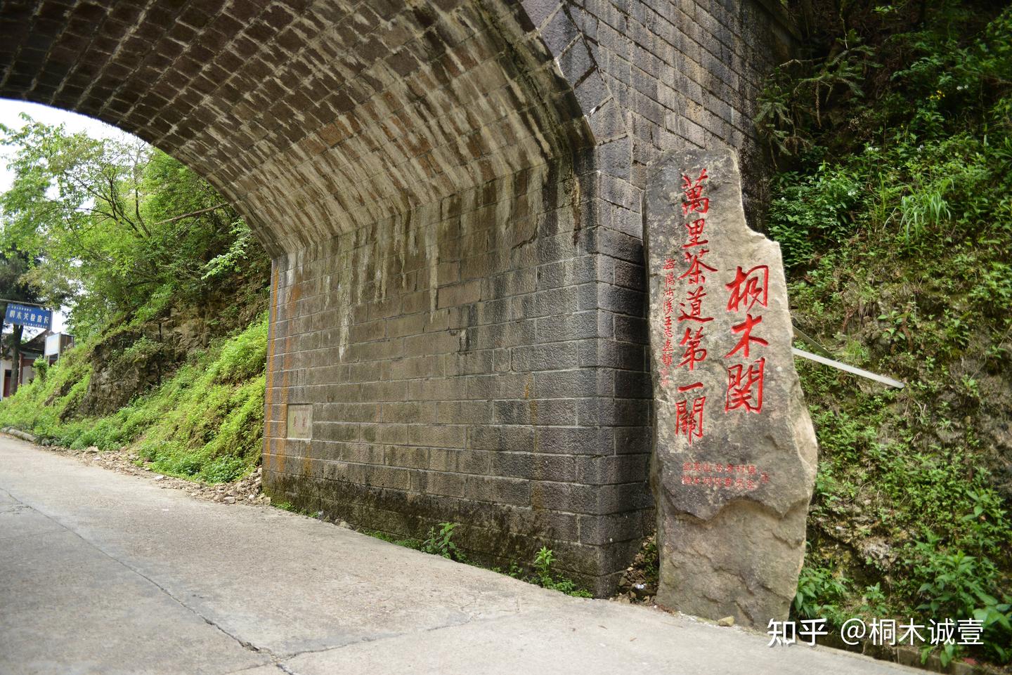 红茶发源地的历史故事--武夷山桐木关 - 知乎