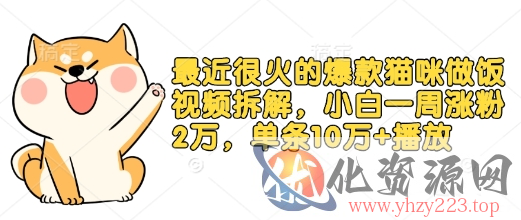 最近很火的爆款猫咪做饭视频拆解，小白一周涨粉2万，单条10万+播放(附保姆级教程)