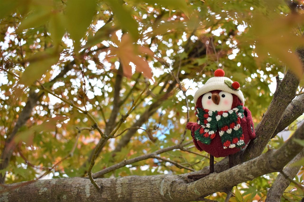 热闹的中秋赏月