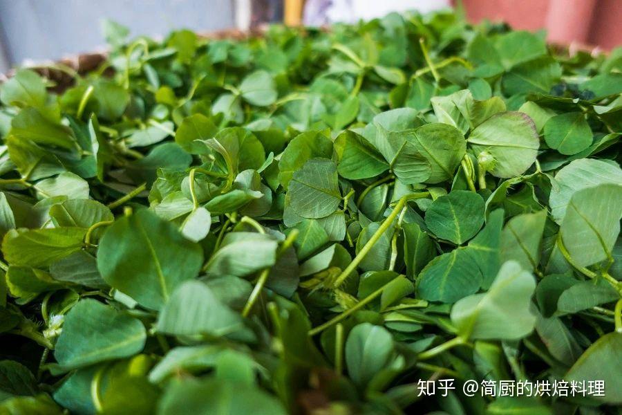 秧草、笋和鱼,3样食材做成的这道菜,简直鲜的不得了! - 知乎