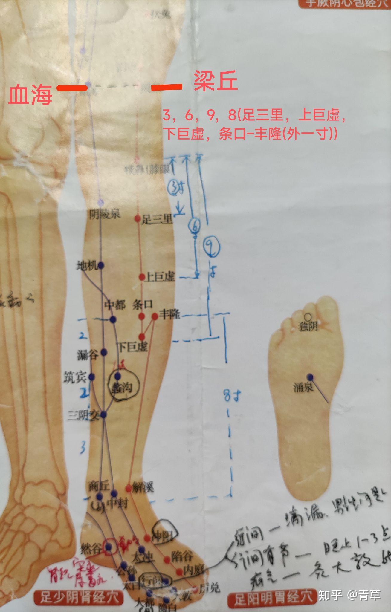 针灸总结1(已校) - 知乎