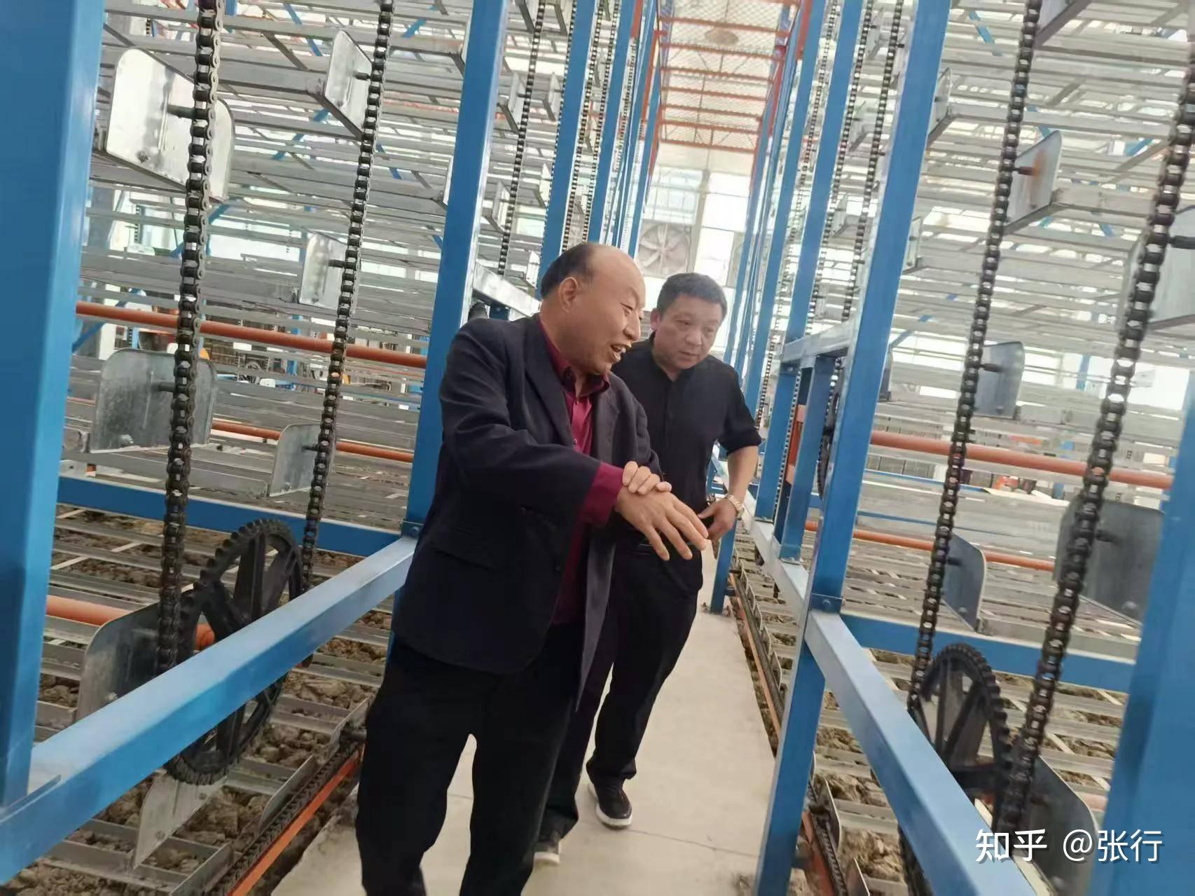 蘑菇大王丁伦保到六安市金安区木厂镇扬春农业科技有限公司指导 - 知乎