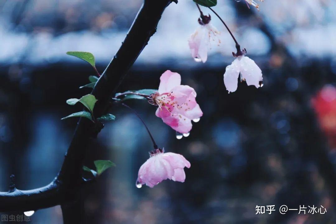 爱是无私还是自私 - 知乎