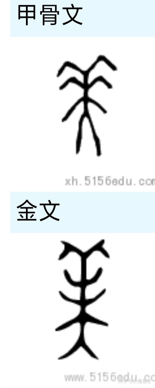 美字甲骨文、金文象形原型 - 知乎