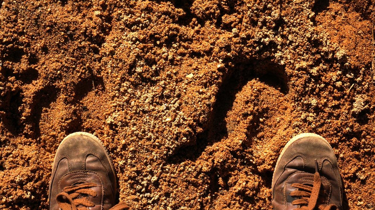 马桶有骚味怎么办