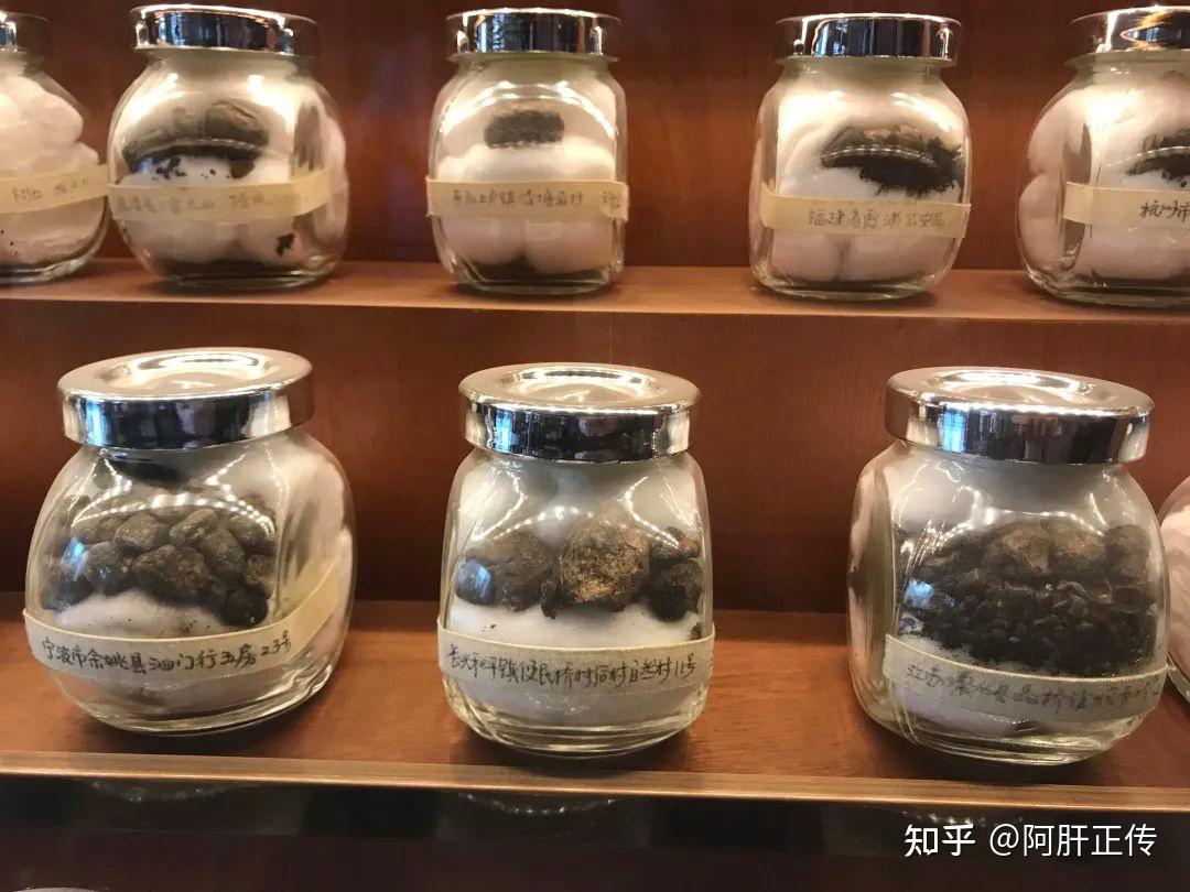 通过中医药治疗自然排出的胆囊结石