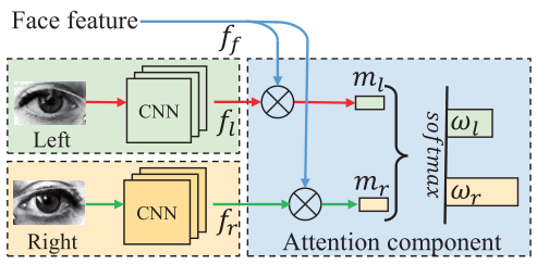 《A Coarse-to-Fine Adaptive Network for Appearance-Based Gaze Estimation ...
