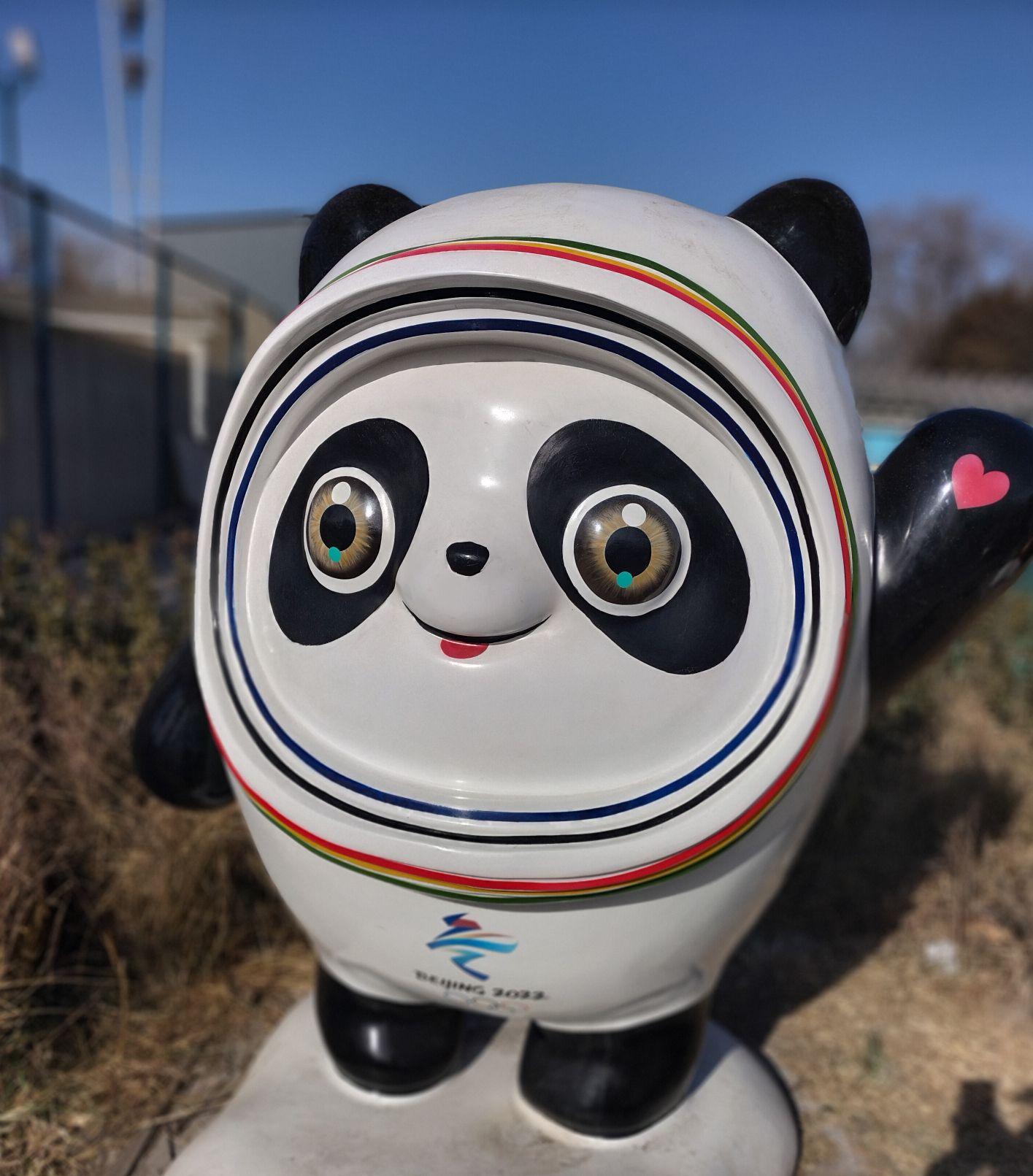 北京冬奥会吉祥物「冰墩墩」被抢购一空,为何如此受欢迎? - 知乎