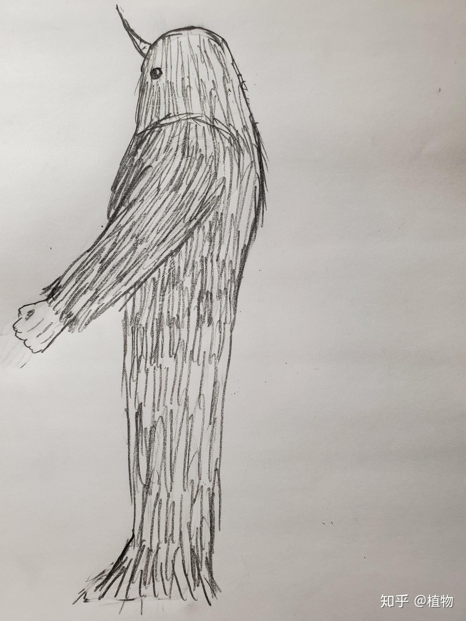 理想的人类战斗体型应该是怎样的?