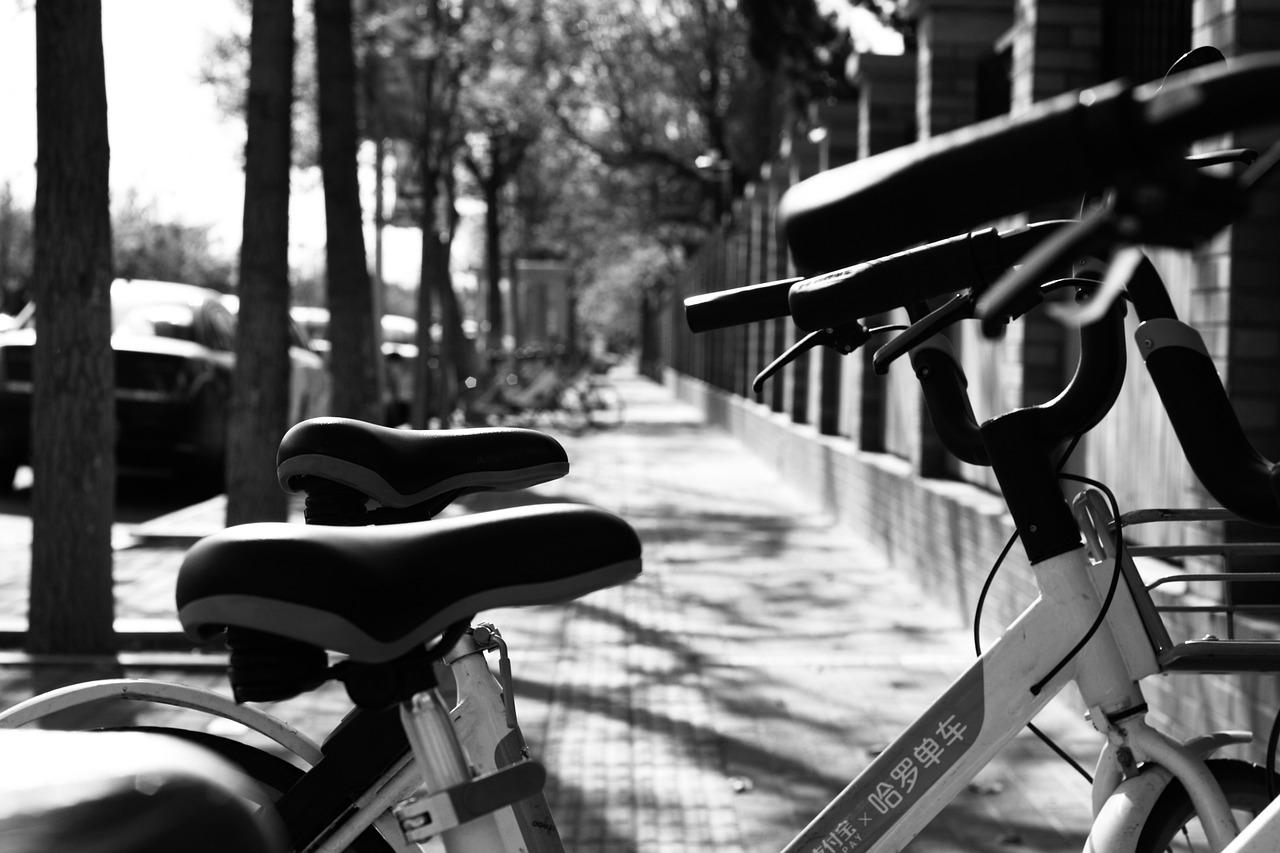 5. 开平美食节地址