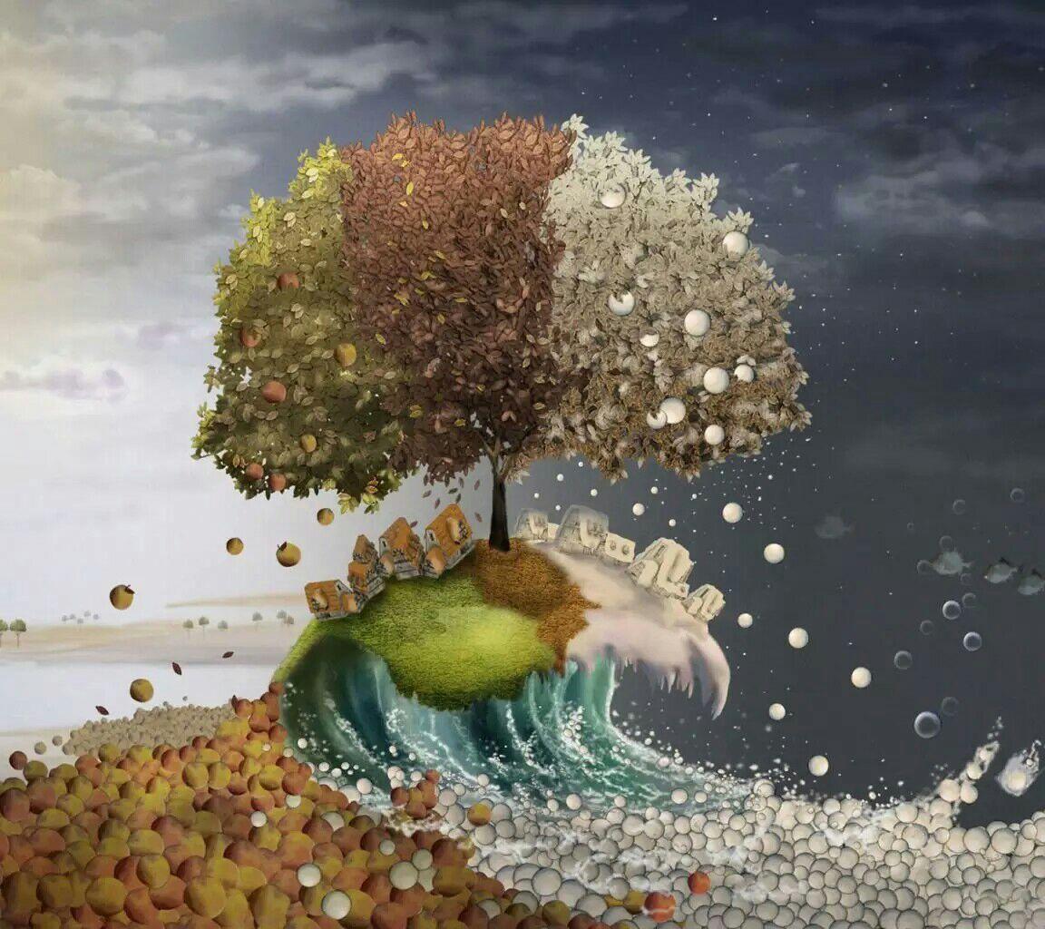 收集一些美腻的关于树这个意象的图片或照片? - 知乎