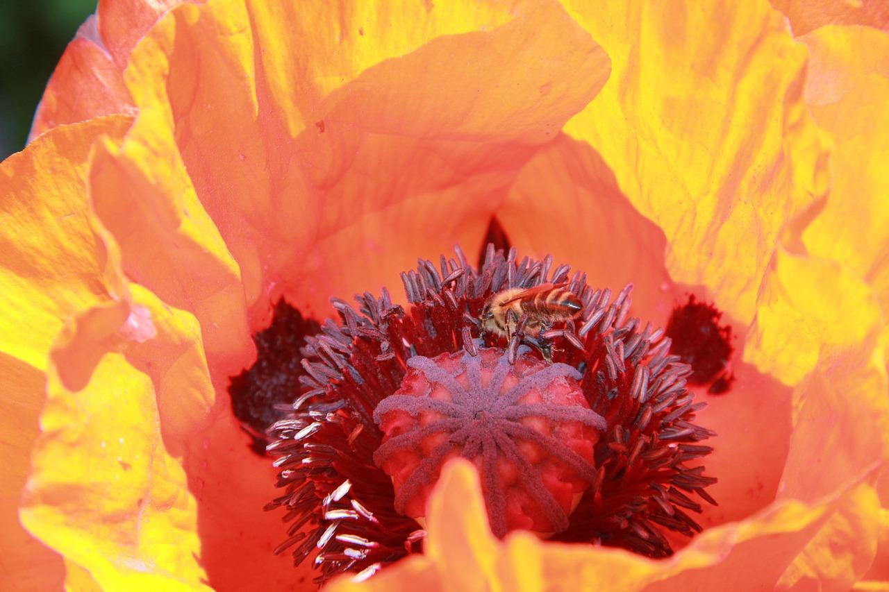 4. 施肥量精准控制