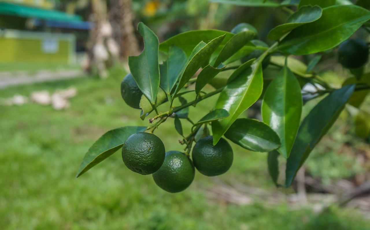 老旧墙面翻新技巧