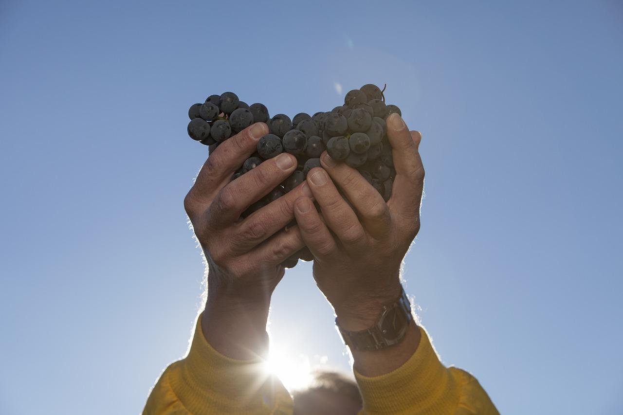 生日祝福句子细分：