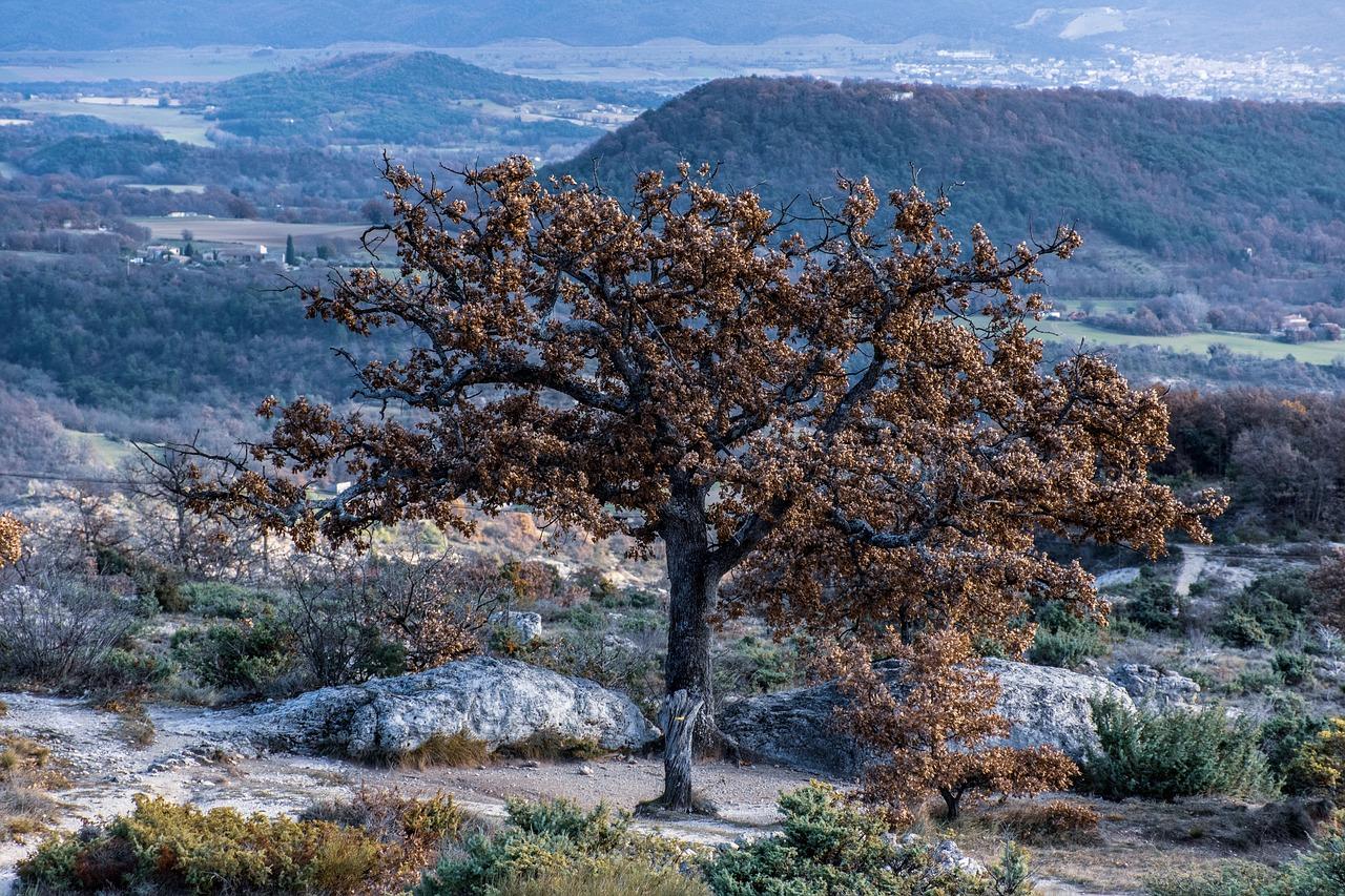 3. 繁华地段物业